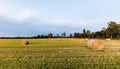 Straw Rolls on a field