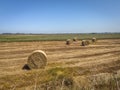 Straw rolls on the field. Round straw bales. Stover on the field. Harvested cereal plants. Agriculture Royalty Free Stock Photo