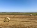 Straw rolls on the field. Round straw bales. Stover on the field. Harvested cereal plants. Agriculture Royalty Free Stock Photo