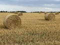 straw rolls field Royalty Free Stock Photo