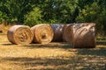 Straw rolls on a field in summer