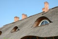 Straw roof and chimneys Royalty Free Stock Photo