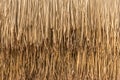 Straw roof from dry grass, Close up yellow straw wall texture background Royalty Free Stock Photo