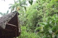 Straw roof outside of Cueva del Indio in Vinales with palm tree background