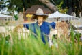 Straw scarecrow exhibition