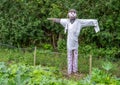 Straw Scarecrow in Garden Allotment