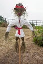 Straw scarecrow