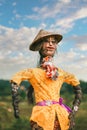 A straw scarecrow in a rice field. Asian culture. Vertical