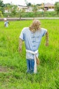 Straw scarecrow in rice field Royalty Free Stock Photo