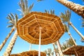 Straw shade umbrellas and fresh green palm trees in tropical region against blue vibrant sky in summer Royalty Free Stock Photo