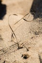 Straw shaped as eternity or infinity symbol on sandy beach grains macro