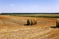 Straw stack Royalty Free Stock Photo