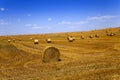 Straw stack Royalty Free Stock Photo