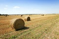 Straw stack Royalty Free Stock Photo