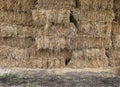 Straw stack for animal food Royalty Free Stock Photo