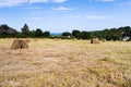 Straw stack in field Royalty Free Stock Photo