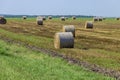 Straw stack after harvesting grain in the field Royalty Free Stock Photo