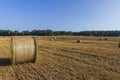 Straw stack after harvesting grain in the field Royalty Free Stock Photo