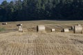 Straw stack after harvesting grain in the field Royalty Free Stock Photo