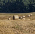 Straw stack after harvesting grain in the field Royalty Free Stock Photo