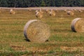 Straw stack after harvesting grain in the field Royalty Free Stock Photo