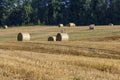 Straw stack after harvesting grain in the field Royalty Free Stock Photo