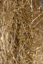Straw stack after harvesting grain in the field Royalty Free Stock Photo