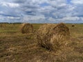 Straw stacks in the field. Typical Russian landscape.