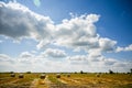 Straw stacks - stacked bales of hay left over from harvesting crops, field of an agricultural farm with harvested crops Royalty Free Stock Photo