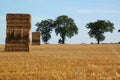 Straw stacks and trees horizon