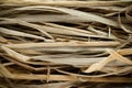 Straw stems Royalty Free Stock Photo