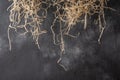 Straw stems hang from above on a textural dark background with chalk stains Royalty Free Stock Photo