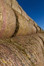 straw stems Royalty Free Stock Photo