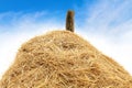 Straw hey, straw heap close-up big, straw mountain, mountain stack hill of straw on sky blue background Royalty Free Stock Photo