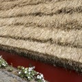 Straw of straw-roof at reproduction of typical farmer cottage, Santana, Madeira Royalty Free Stock Photo