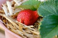 Straw in the Strawberry