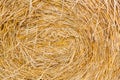 straw summer background. haystack straw prepared for farm. Stack dry hay. Hay texture. Hay bale is stacked in large Royalty Free Stock Photo