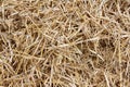 Straw, hay background texture Royalty Free Stock Photo