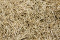 Straw, hay background texture Royalty Free Stock Photo