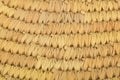 Straw texture Royalty Free Stock Photo
