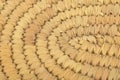 Straw texture Royalty Free Stock Photo