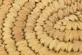Straw texture Royalty Free Stock Photo