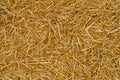 Straw texture Royalty Free Stock Photo