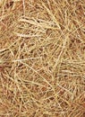 Straw texture