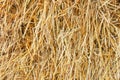 Straw texture. Abstract background, empty template, copy space Royalty Free Stock Photo