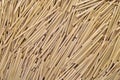 Straw texture background