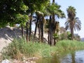 Straw texture background in Country side near river Nile cairo