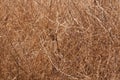 Straw texture background and dry branches Royalty Free Stock Photo