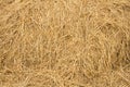 Straw texture background Royalty Free Stock Photo