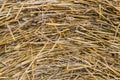 Straw texture